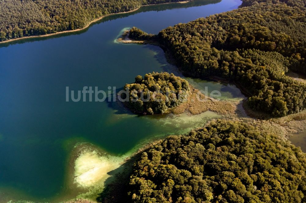 Heimland aus der Vogelperspektive: Waldgebiete am Ufer des See Großer Wummesee in Heimland im Bundesland Brandenburg