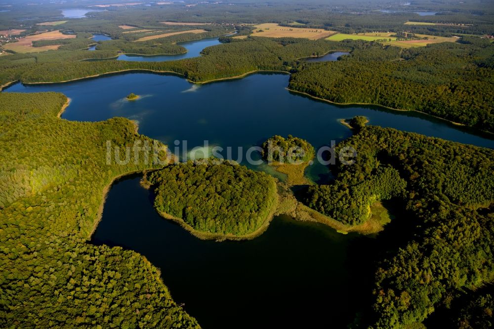 Luftbild Heimland - Waldgebiete am Ufer des See Großer Wummesee in Heimland im Bundesland Brandenburg