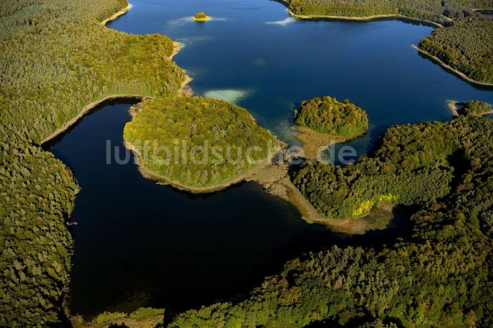 Luftaufnahme Heimland - Waldgebiete am Ufer des See Großer Wummesee in Heimland im Bundesland Brandenburg