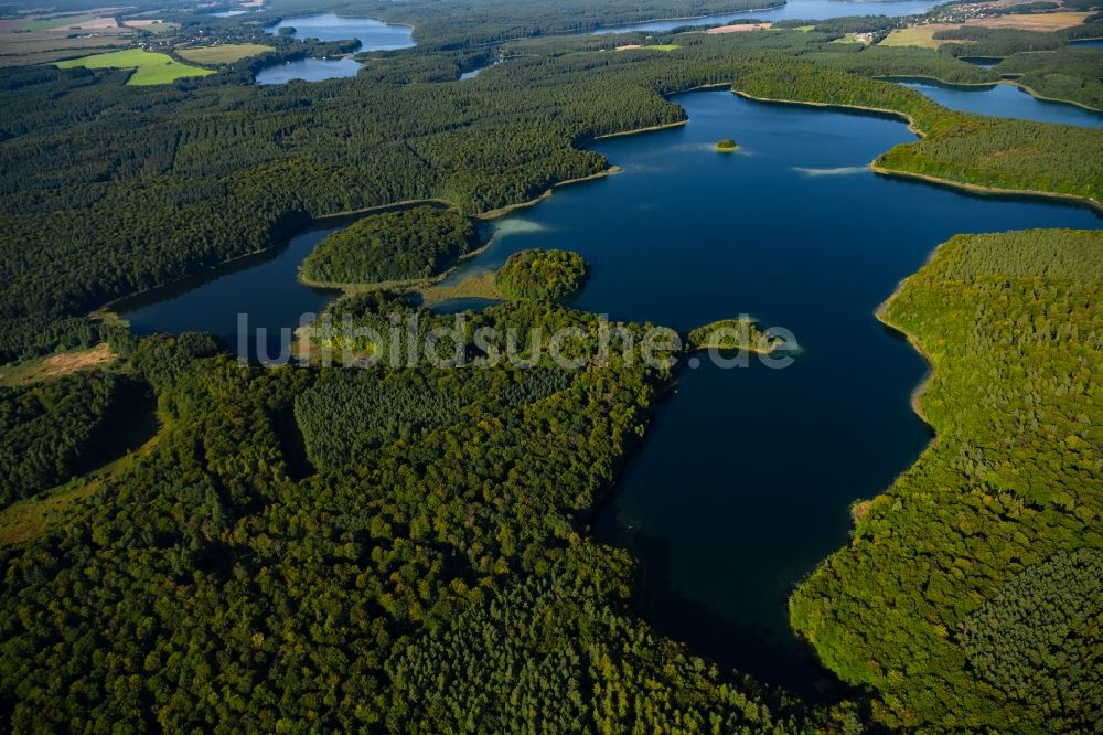 Heimland von oben - Waldgebiete am Ufer des See Großer Wummesee in Heimland im Bundesland Brandenburg