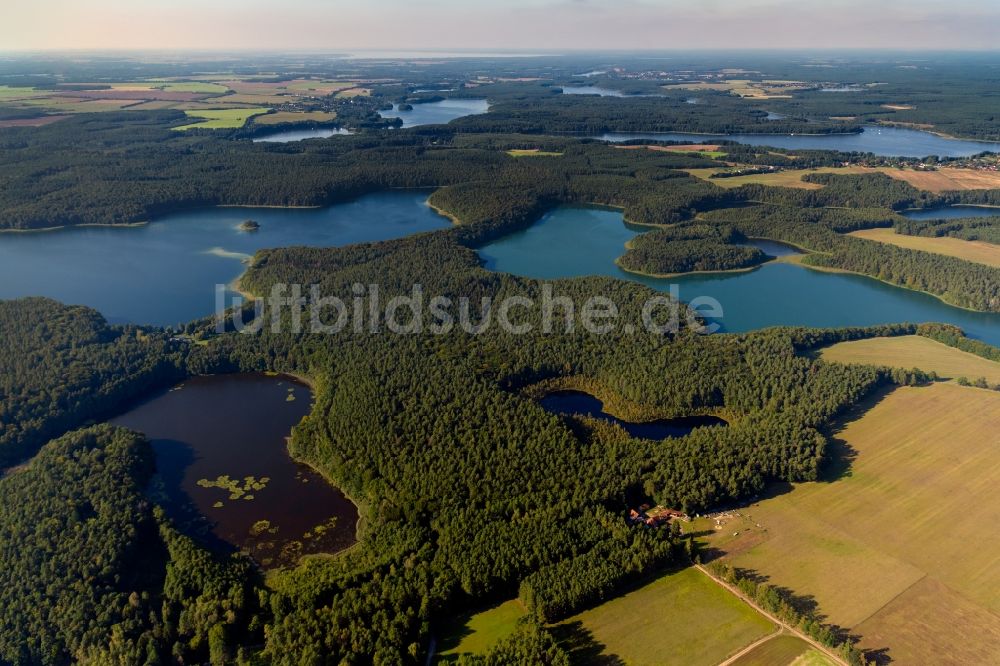 Luftbild Heimland - Waldgebiete am Ufer des See Großer Wummesee in Heimland im Bundesland Brandenburg