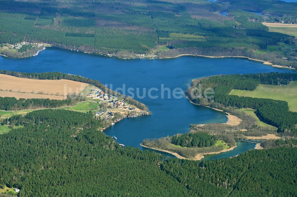 Flecken Zechlin von oben - Waldgebiete am Ufer des See Großer Zechliner See in Flecken Zechlin im Bundesland Brandenburg, Deutschland