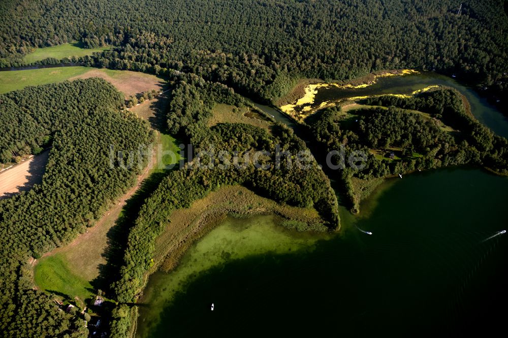 Luftbild Luhme - Waldgebiete am Ufer des See Großer Zechliner See in Luhme im Bundesland Brandenburg, Deutschland