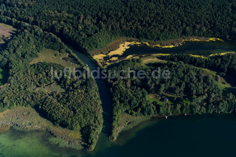 Luftaufnahme Luhme - Waldgebiete am Ufer des See Großer Zechliner See in Luhme im Bundesland Brandenburg, Deutschland