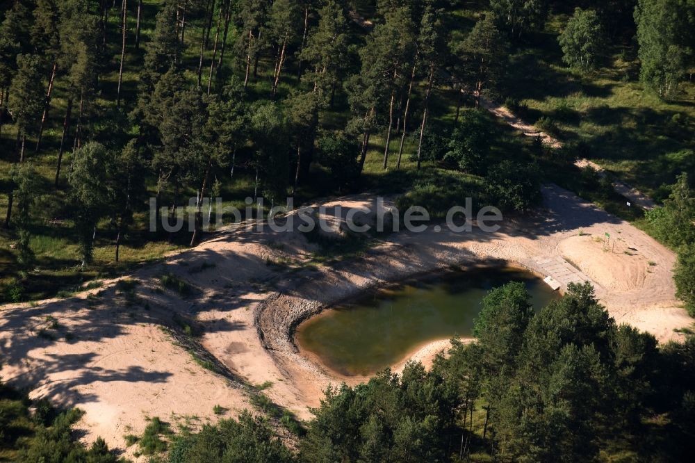 Lübtheen aus der Vogelperspektive: Waldgebiete am Ufer des See in Lübtheen im Bundesland Mecklenburg-Vorpommern