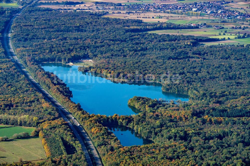 Luftbild Opfingen - Waldgebiete am Ufer des See Opfinger See in Opfingen im Bundesland Baden-Württemberg, Deutschland