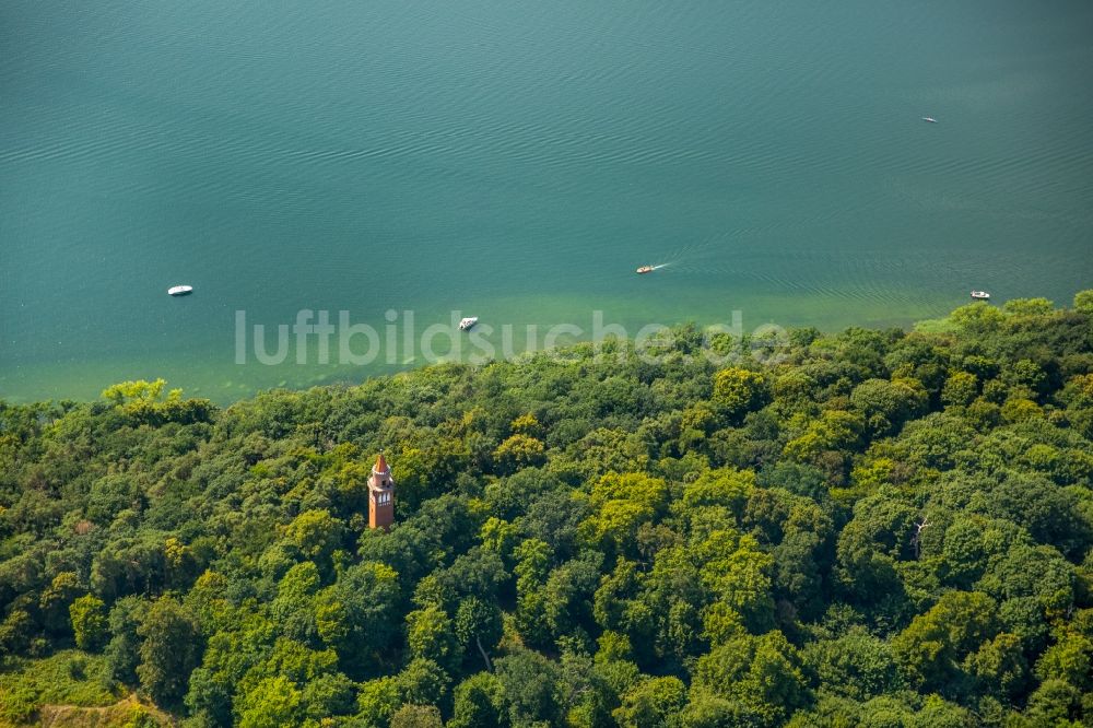 Neubrandenburg aus der Vogelperspektive: Waldgebiete am Ufer des See Tollensesee in Neubrandenburg im Bundesland Mecklenburg-Vorpommern