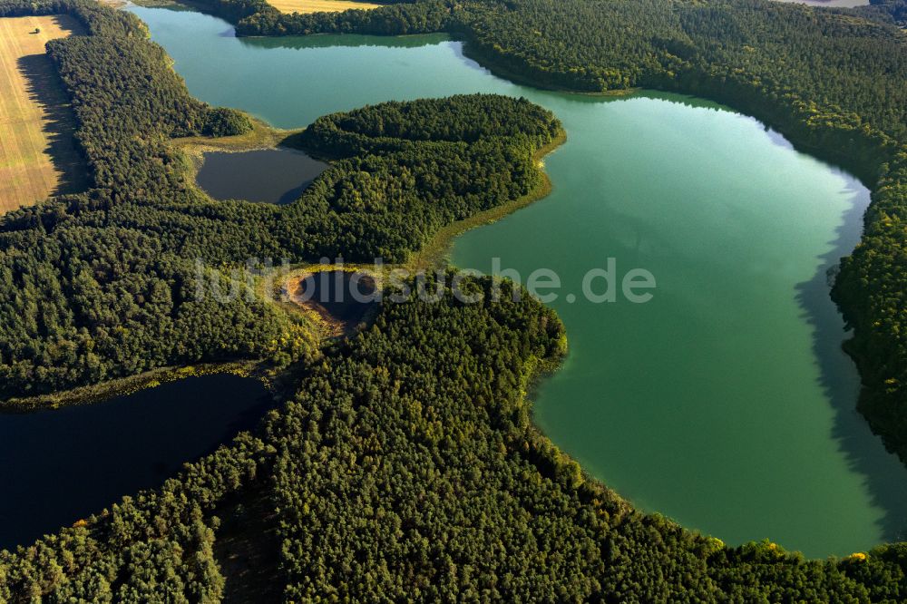 Luftaufnahme Flecken Zechlin - Waldgebiete am Ufer des See Twernsee in Flecken Zechlin im Bundesland Brandenburg, Deutschland