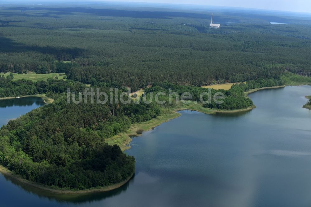 Feldgrieben aus der Vogelperspektive: Waldgebiete am Ufer des See Witwesee in Feldgrieben im Bundesland Brandenburg