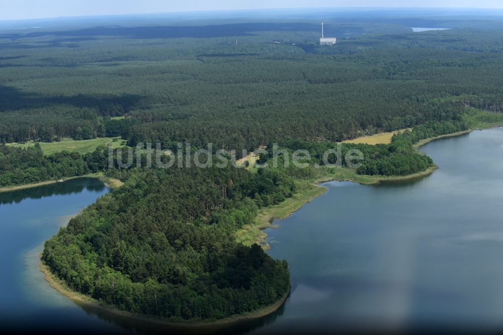 Luftbild Feldgrieben - Waldgebiete am Ufer des See Witwesee in Feldgrieben im Bundesland Brandenburg