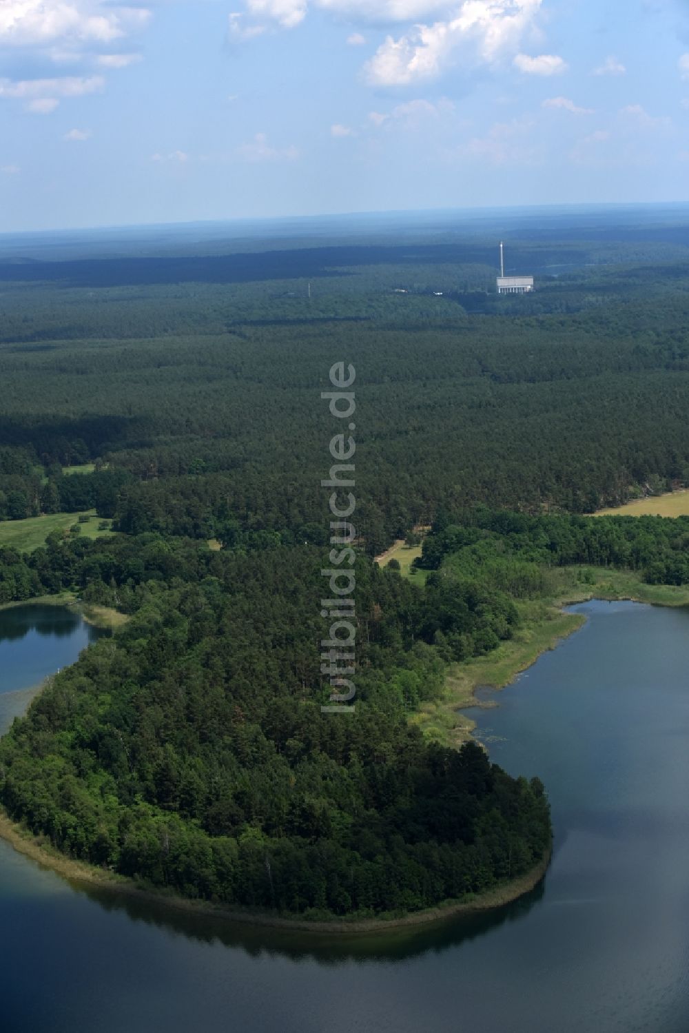 Luftaufnahme Feldgrieben - Waldgebiete am Ufer des See Witwesee in Feldgrieben im Bundesland Brandenburg