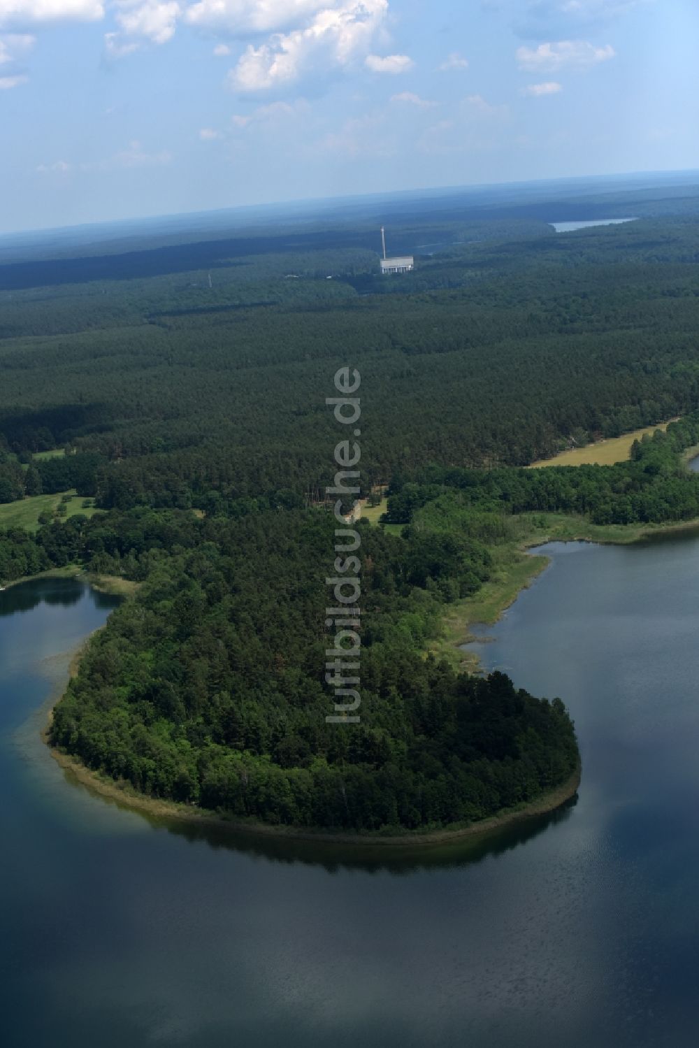 Feldgrieben von oben - Waldgebiete am Ufer des See Witwesee in Feldgrieben im Bundesland Brandenburg