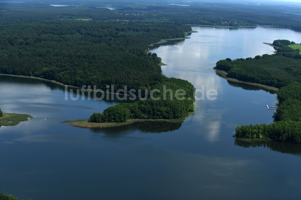 Luftaufnahme Schwarz - Waldgebiete am Ufer des See Zethner See in Schwarz im Bundesland Mecklenburg-Vorpommern