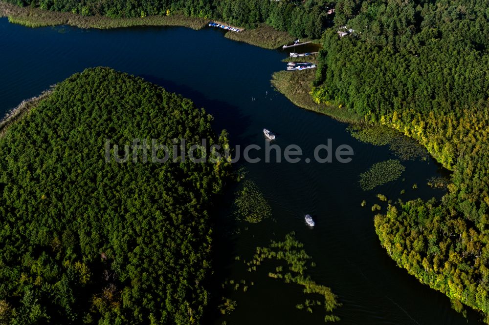 Mirow aus der Vogelperspektive: Waldgebiete am Ufer des See Zotzensee in Mirow im Bundesland Mecklenburg-Vorpommern, Deutschland