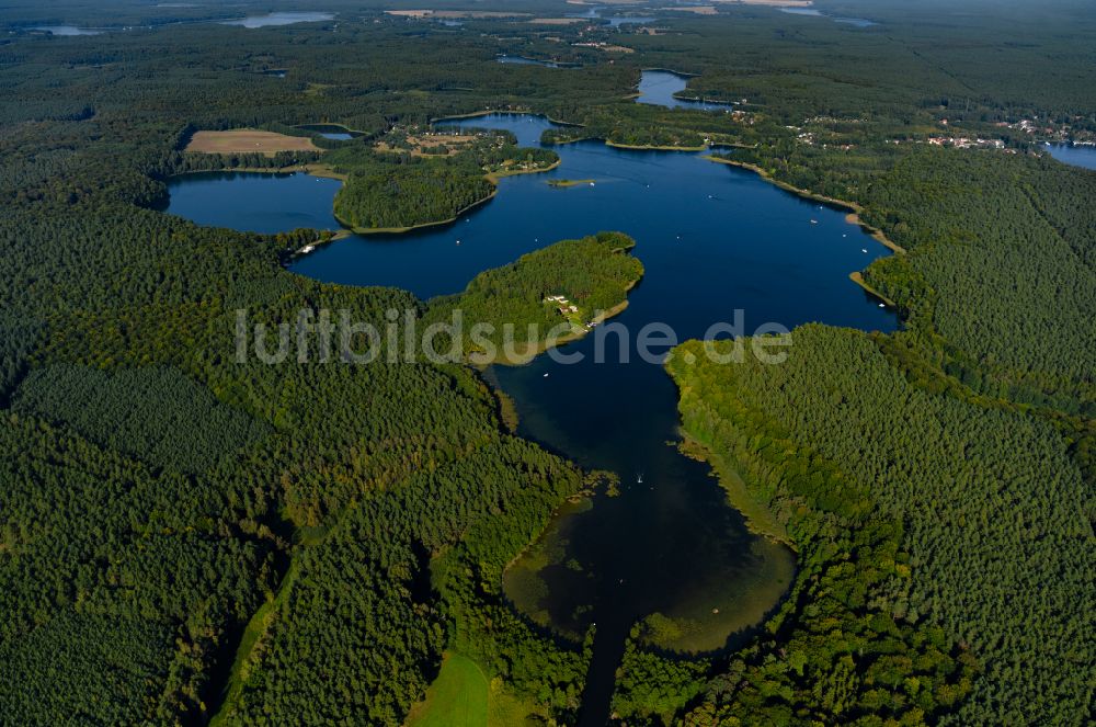 Mirow von oben - Waldgebiete am Ufer des See Zotzensee in Mirow im Bundesland Mecklenburg-Vorpommern, Deutschland