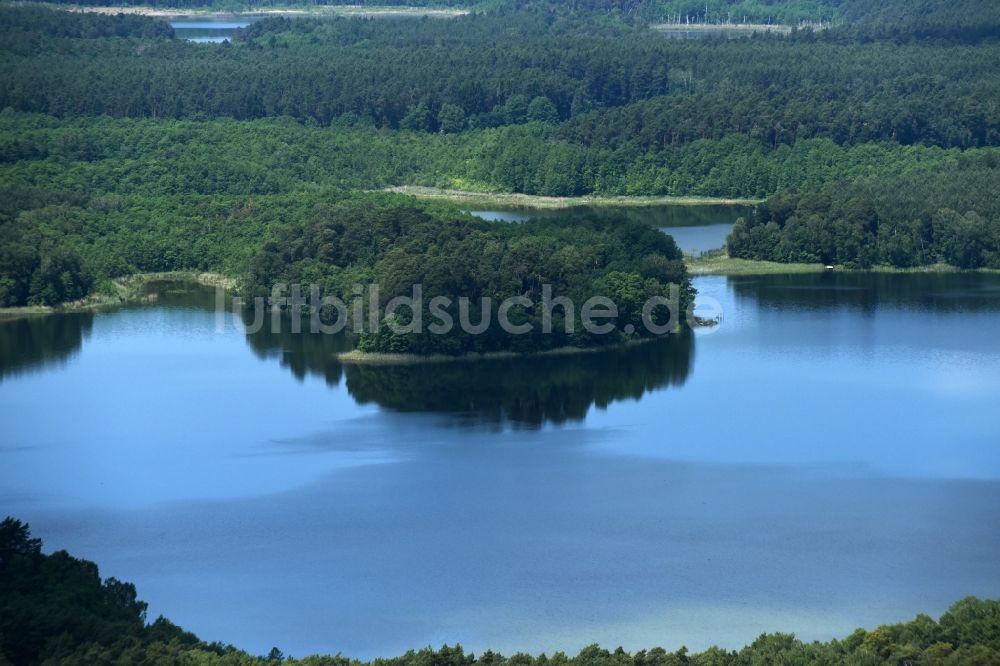 Schulzenhof von oben - Waldgebiete am Ufer des Sees Großer Tietzensees in Schulzenhof im Bundesland Brandenburg