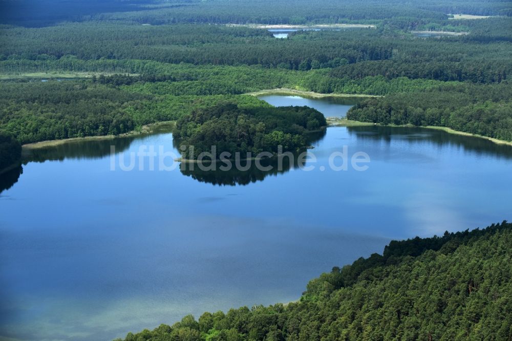 Luftbild Schulzenhof - Waldgebiete am Ufer des Sees Großer Tietzensees in Schulzenhof im Bundesland Brandenburg