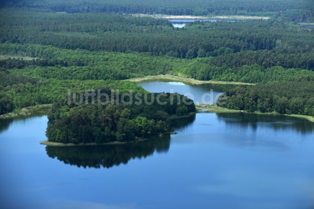 Luftaufnahme Schulzenhof - Waldgebiete am Ufer des Sees Großer Tietzensees in Schulzenhof im Bundesland Brandenburg