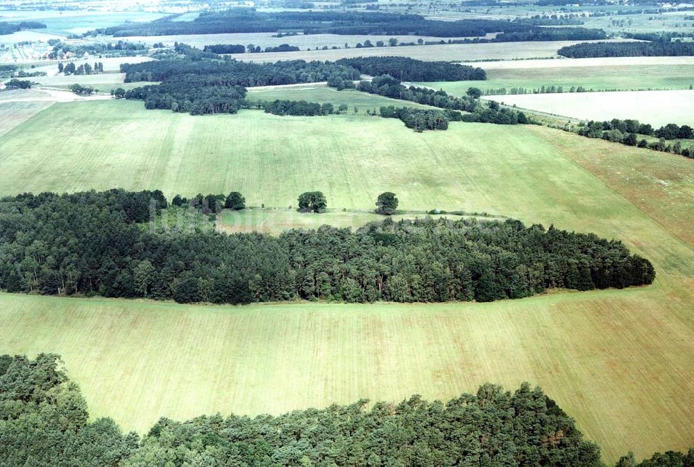 Luftbild Ahrensdorf bei Ludwigsfelde / Brandenburg - Waldgrundstück bei Ahrensdorf / Brandenburg.