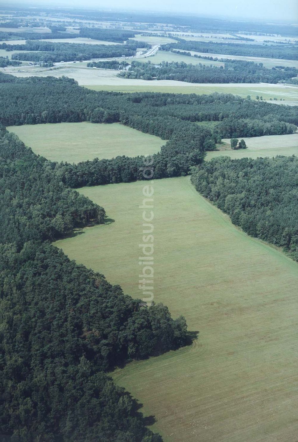 Ahrensdorf bei Ludwigsfelde / Brandenburg von oben - Waldgrundstück bei Ahrensdorf / Brandenburg.