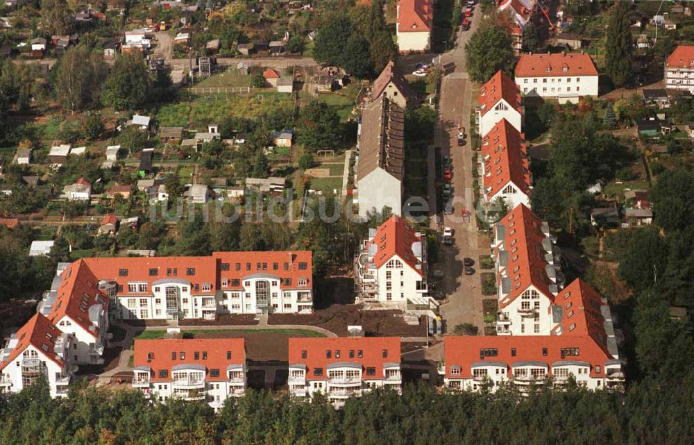 Seddin von oben - Waldrandsiedlung am Seddiner See