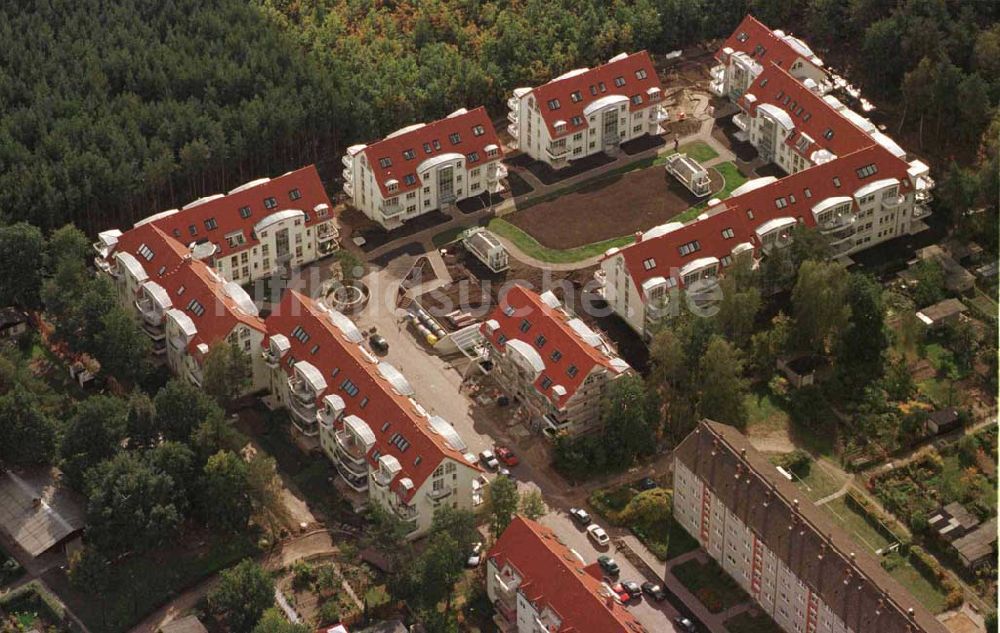 Seddin aus der Vogelperspektive: Waldrandsiedlung am Seddiner See / Seddin