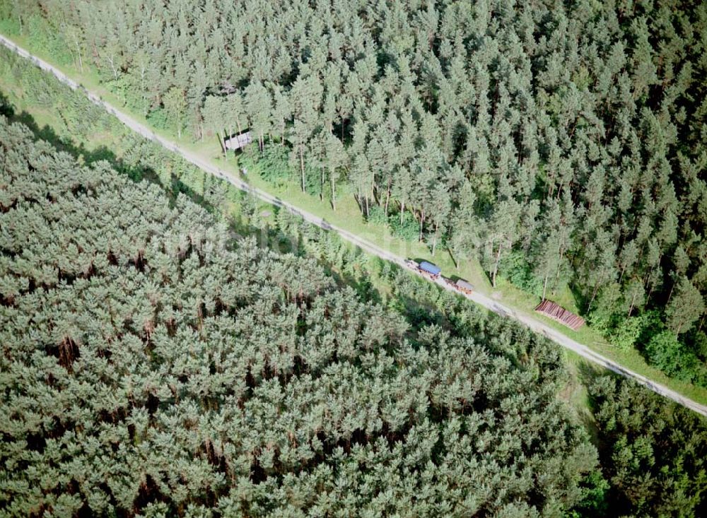 Spitzmühle bei Strausberg von oben - Waldweg am Bötzsee bei Strausberg.