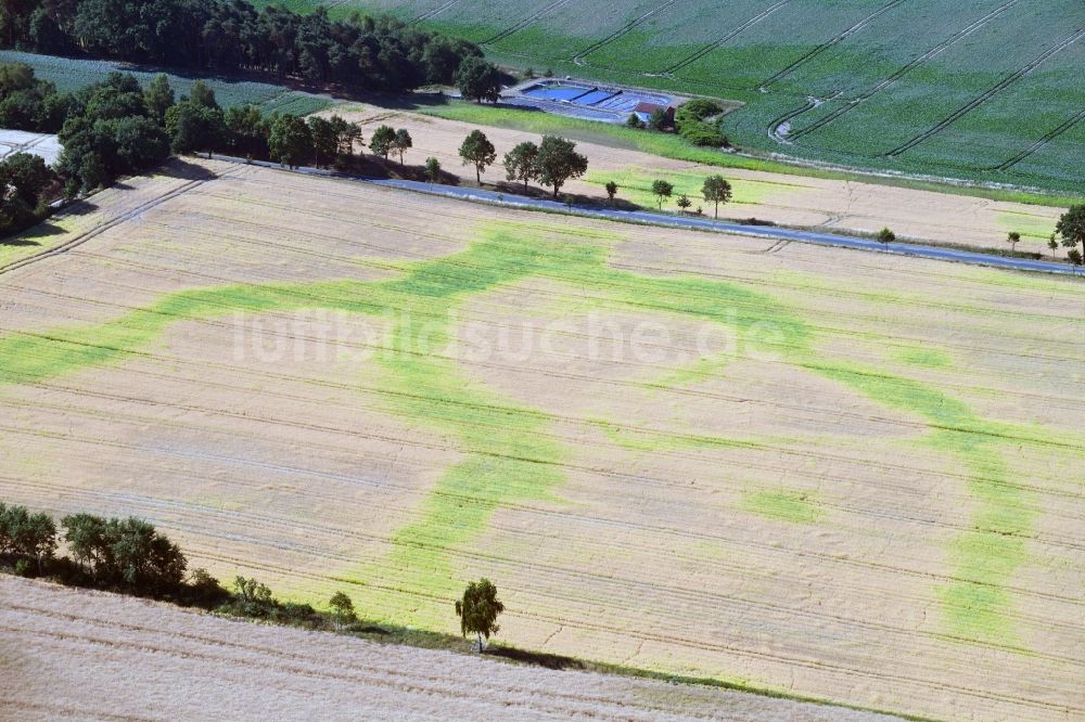 Lüdelsen von oben - Wasserader - Verlauf auf landwirtschaftlichen Feldern in Lüdelsen im Bundesland Sachsen-Anhalt, Deutschland