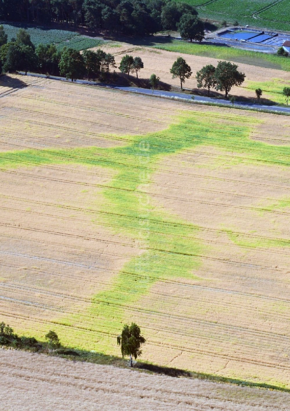 Lüdelsen aus der Vogelperspektive: Wasserader - Verlauf auf landwirtschaftlichen Feldern in Lüdelsen im Bundesland Sachsen-Anhalt, Deutschland