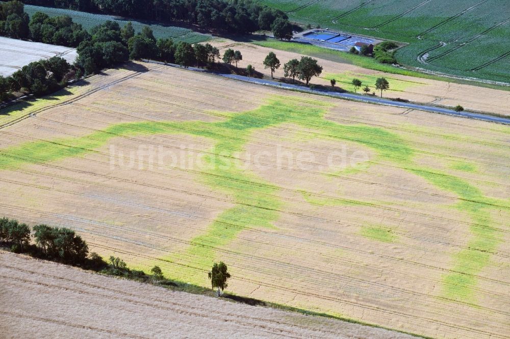 Luftbild Lüdelsen - Wasserader - Verlauf auf landwirtschaftlichen Feldern in Lüdelsen im Bundesland Sachsen-Anhalt, Deutschland