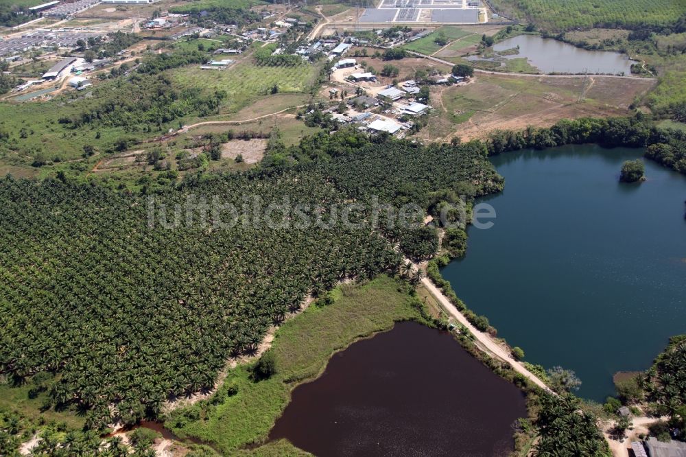 Si Sunthon von oben - Wasserfarben- Landschaft an den Seen und Palmwäldern bei Chuan Chuen Village in Si Sunthon auf der Insel Phuket in Thailand