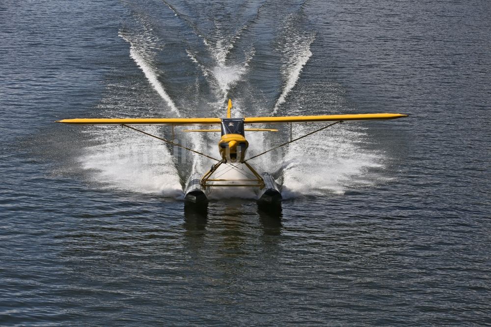 Luftaufnahme Zeltingen-Rachtig - Wasserflugzeug Piper PA-18 Super Cub auf der Mosel in Zeltingen im Bundesland Rheinland-Pfalz