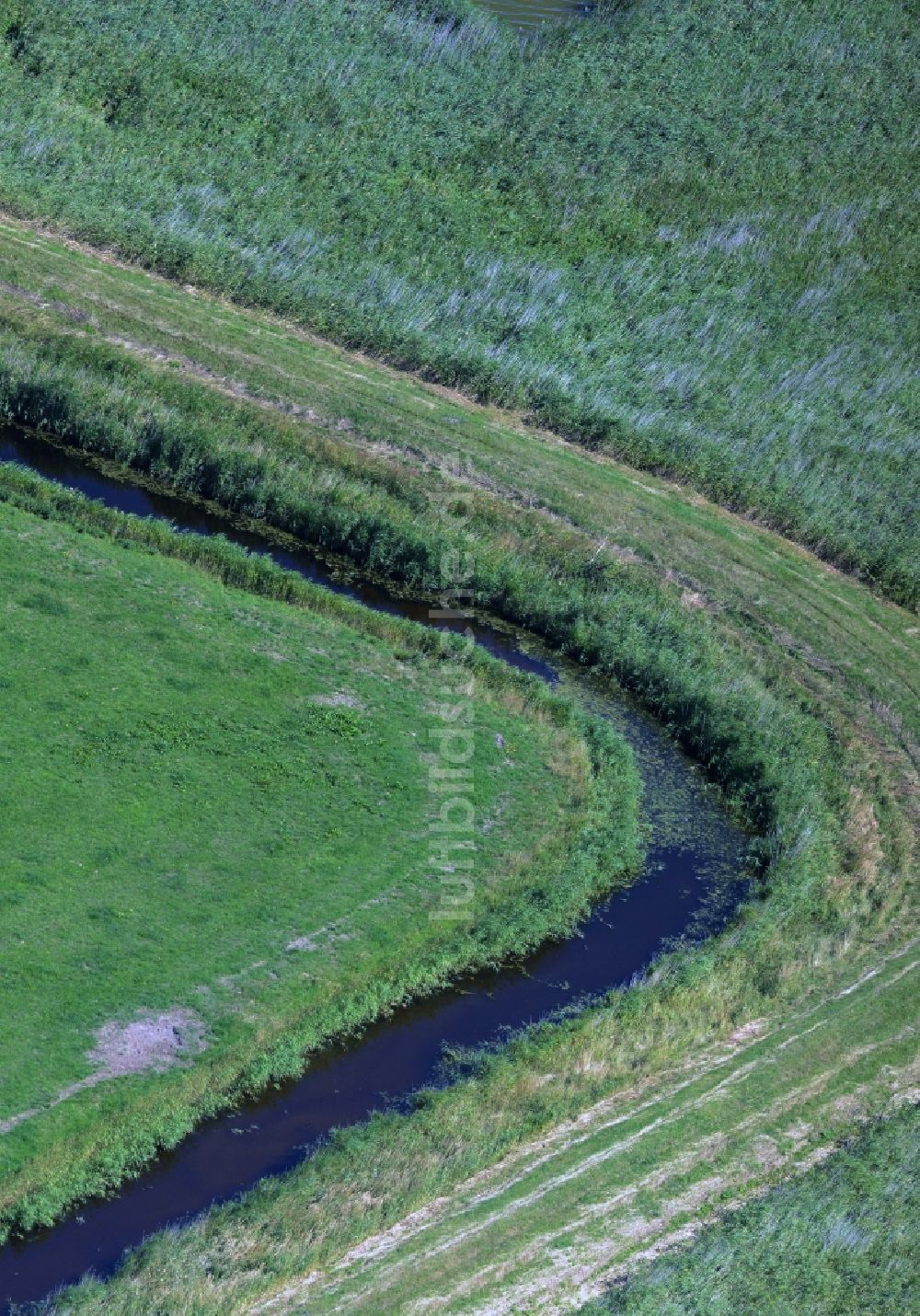 Luftaufnahme Dierhagen - Wassergraben entlang von Feldern im Norden von Dierhagen im Bundesland Mecklenburg-Vorpommern