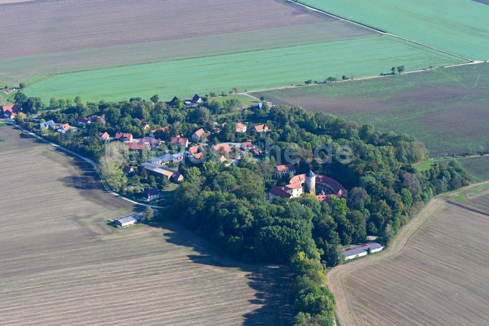 Westerburg aus der Vogelperspektive: Wassergraben mit Wasserschloß Schloss in Westerburg im Bundesland Sachsen-Anhalt, Deutschland