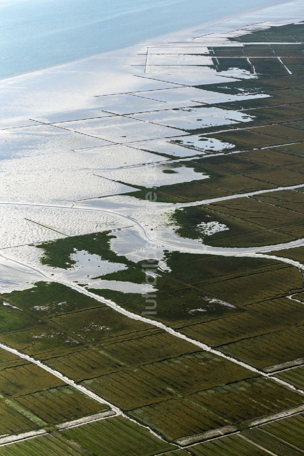 Luftaufnahme Nordstrand - Wasseroberfläche an der Meeres- Küste in Nordstrand im Bundesland Schleswig-Holstein, Deutschland