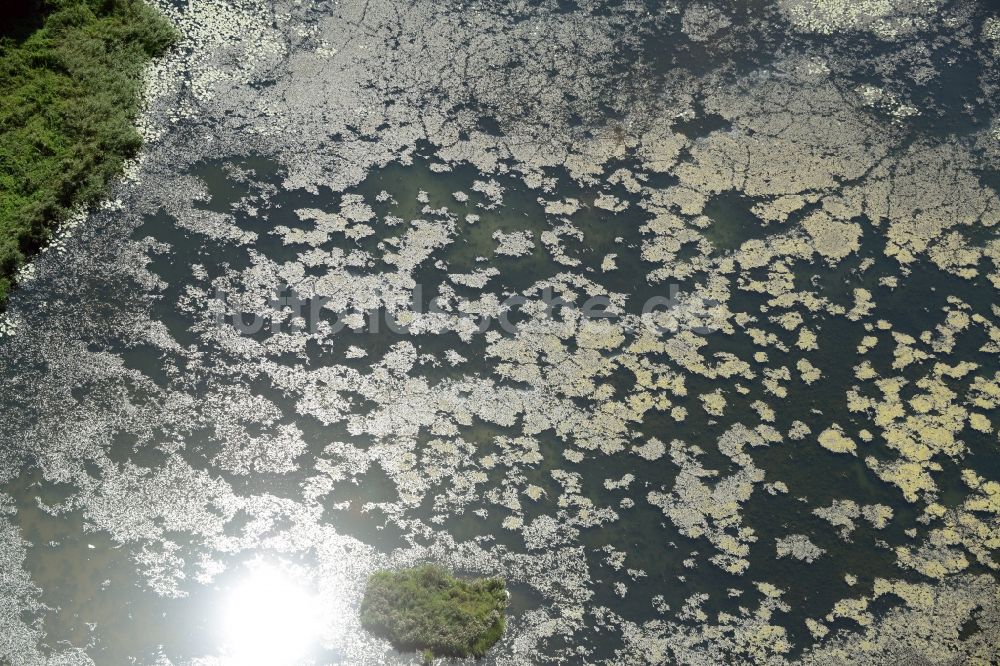 Luftbild Lebus - Wasseroberfläche eines Teichs in Lebus im Bundesland Brandenburg