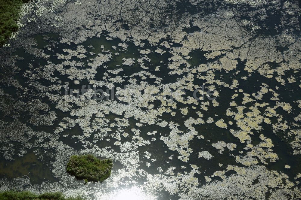 Luftaufnahme Lebus - Wasseroberfläche eines Teichs in Lebus im Bundesland Brandenburg