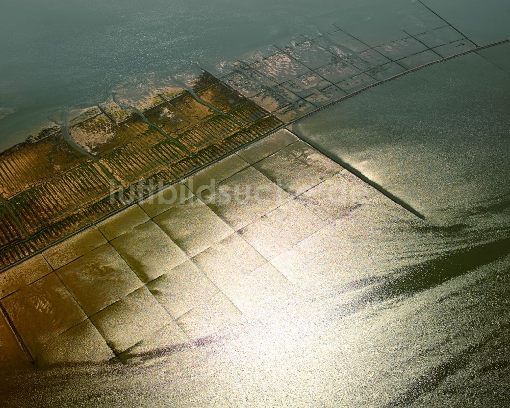 Büsum von oben - Wasserstrukturen im Nationalpark Schleswig-Holsteinisches Wattenmeer im Bundesland Schleswig-Holstein