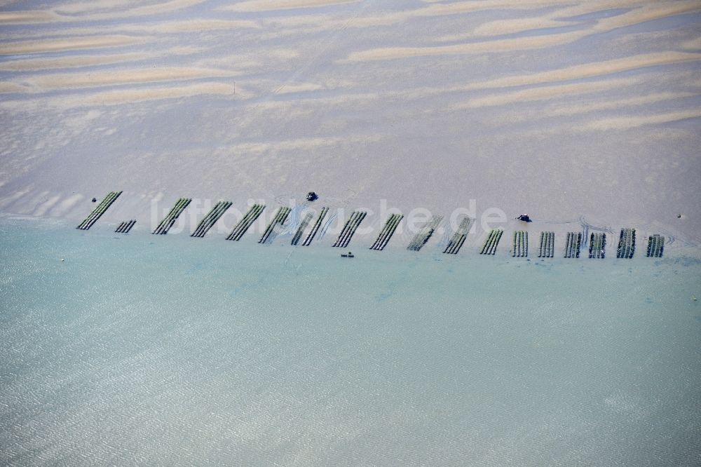 Luftaufnahme List - Wattenmeer der Nordsee- Küste mit Austern- Zucht- Bänken in List im Bundesland Schleswig-Holstein