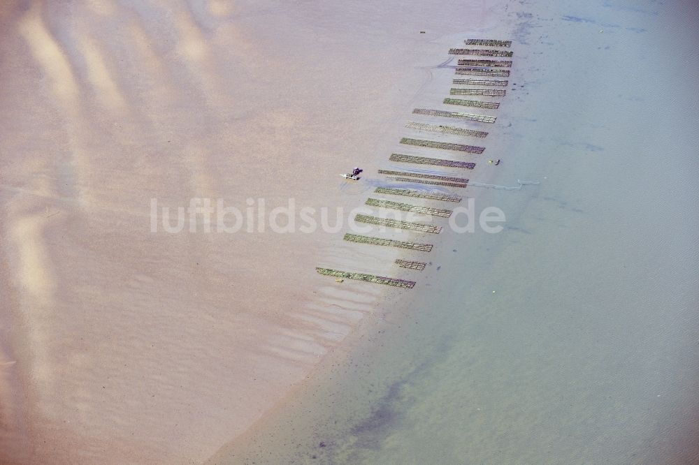 Luftbild List - Wattenmeer der Nordsee- Küste mit Austern- Zucht- Bänken in List im Bundesland Schleswig-Holstein