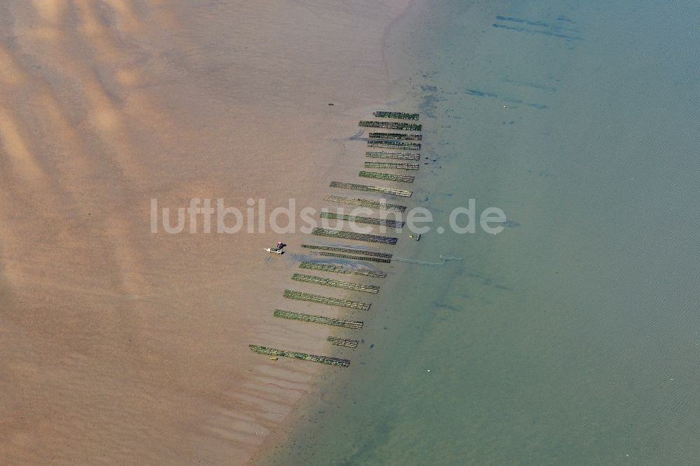 Luftaufnahme List - Wattenmeer der Nordsee- Küste mit Austern- Zucht- Bänken in List im Bundesland Schleswig-Holstein