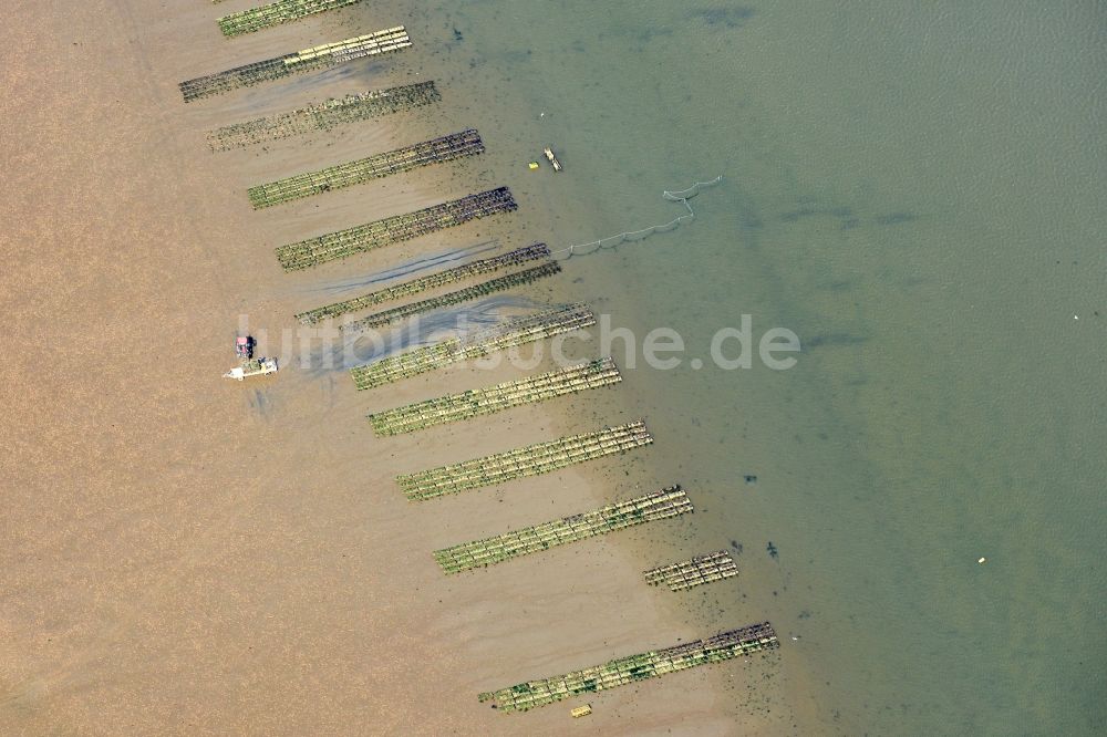 List aus der Vogelperspektive: Wattenmeer der Nordsee- Küste mit Austern- Zucht- Bänken in List im Bundesland Schleswig-Holstein