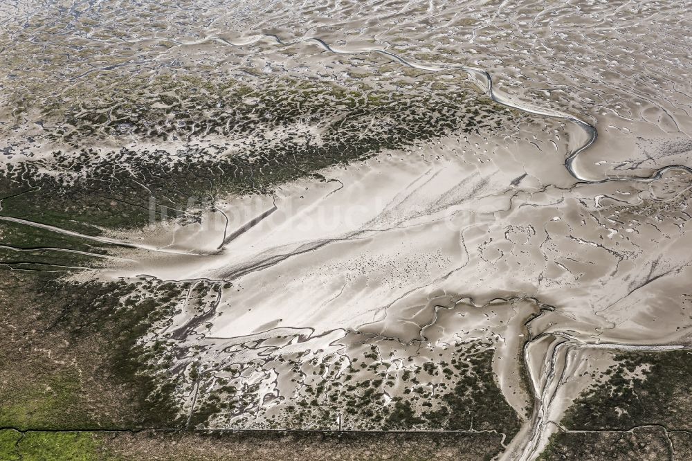 Cuxhaven aus der Vogelperspektive: Wattenmeer der Nordsee- Küste bei Cuxhaven im Bundesland Niedersachsen