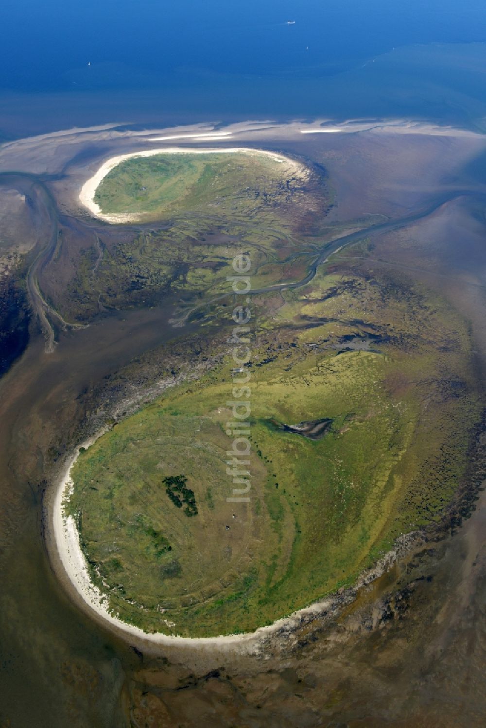 Nigehörn von oben - Wattenmeer der Nordsee- Küste der Insel in Nigehörn im Bundesland Hamburg