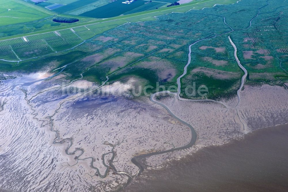 Pellworm aus der Vogelperspektive: Wattenmeer der Nordsee- Küste in Pellworm im Bundesland Schleswig-Holstein