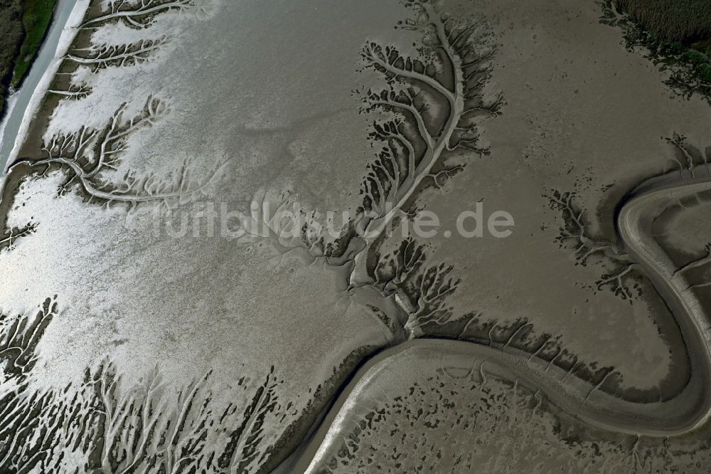 Balje von oben - Wattenmeer der Nordsee- Küste mit Prielen - Bildung in Balje im Bundesland Niedersachsen, Deutschland