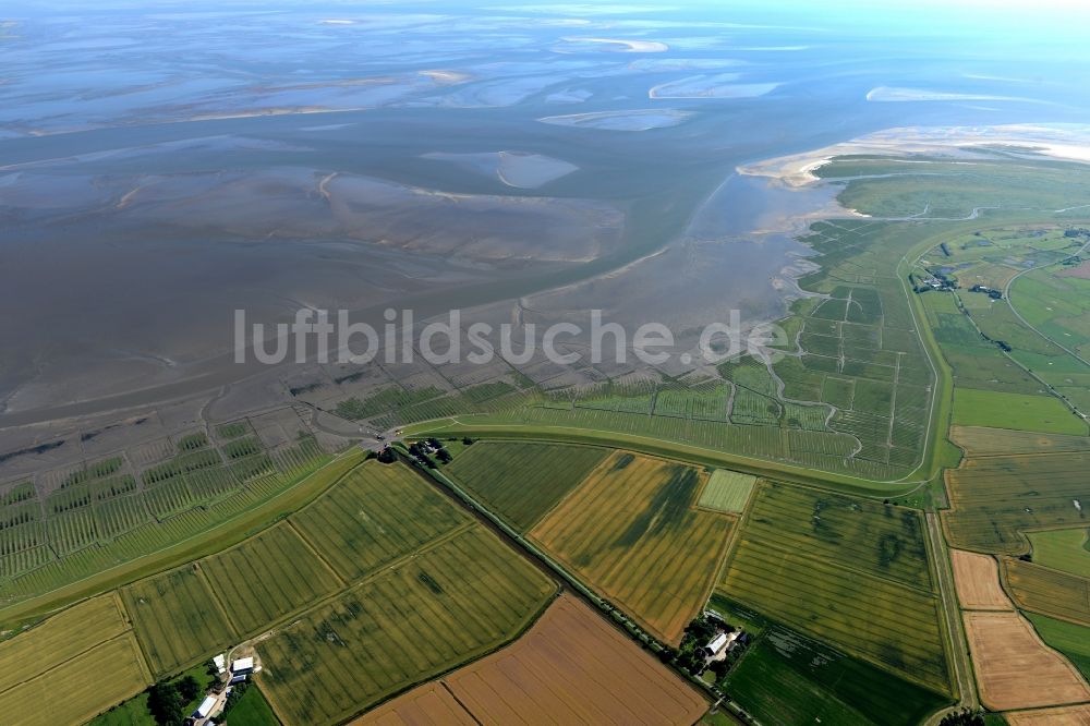 Sankt Peter-Ording aus der Vogelperspektive: Wattenmeer der Nordsee- Küste in Sankt Peter-Ording im Bundesland Schleswig-Holstein