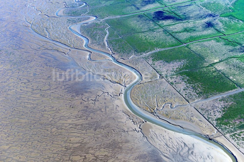 Sankt Peter-Ording aus der Vogelperspektive: Wattenmeer der Nordsee- Küste in Sankt Peter-Ording im Bundesland Schleswig-Holstein