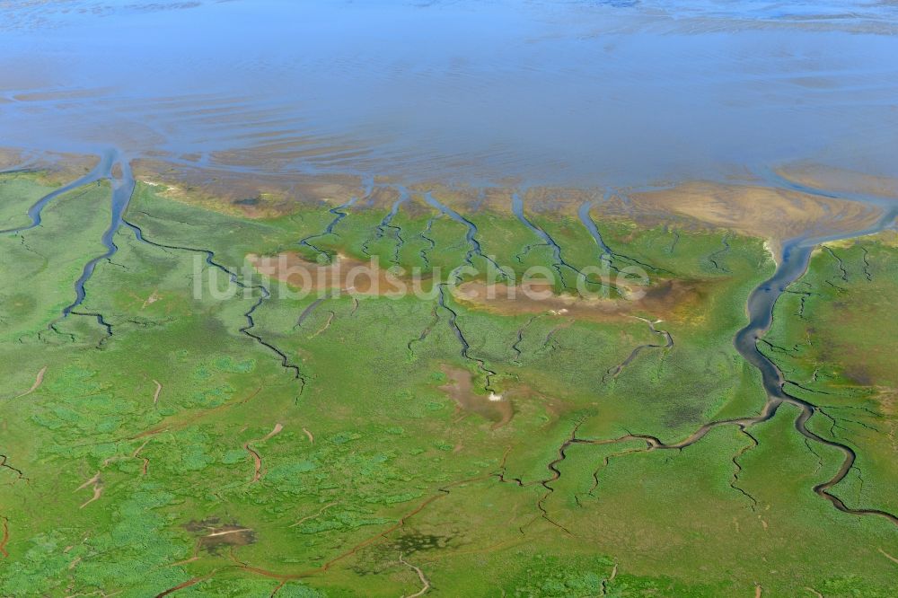 Luftaufnahme Spiekeroog - Wattenmeer der Nordsee- Küste in Spiekeroog im Bundesland Niedersachsen