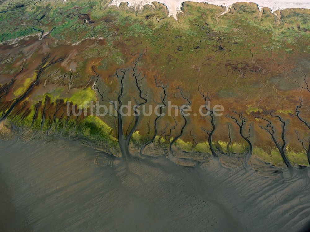 Spiekeroog von oben - Wattenmeer der Nordsee- Küste von Spiekeroog im Bundesland Niedersachsen, Deutschland